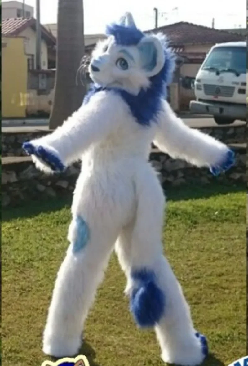 الأبيض والأزرق Fursuit التميمة زي للحزب ، الثعلب ، الكلب ، تأثيري الحيوان ، الإعلان موكب ، فستان بتصميم حالم ، هالوين