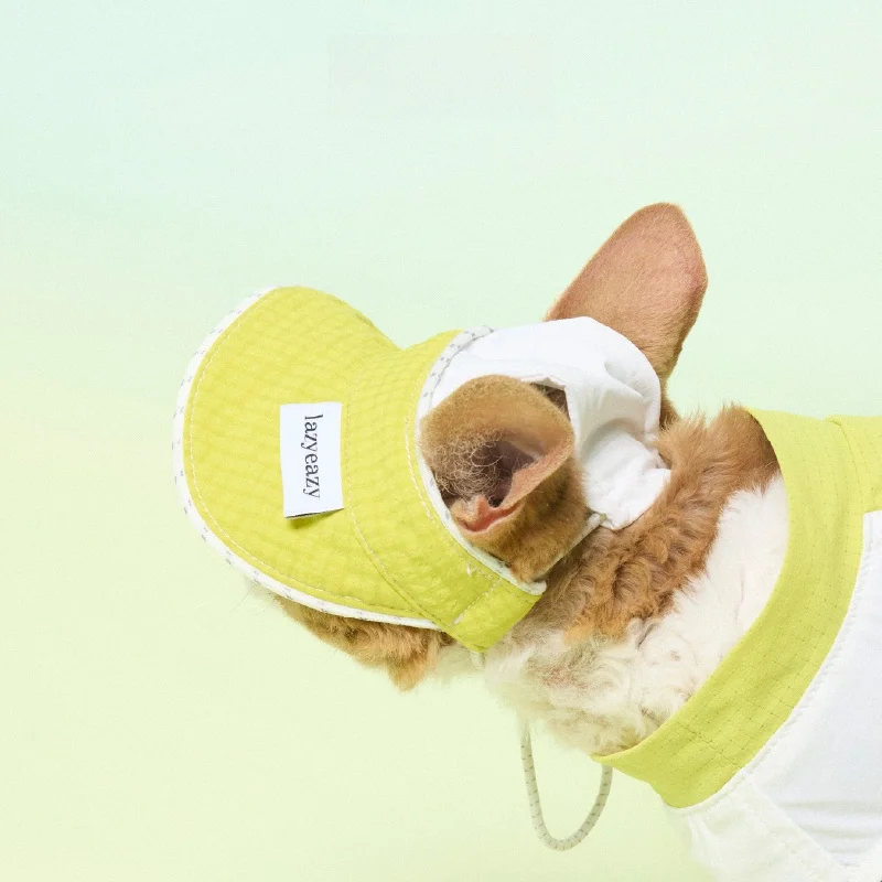 

Повязка-шапка Lazyeazy в клетку для собак: водонепроницаемая, дышащая, с отверстиями для ушей, для мелких и средних питомцев