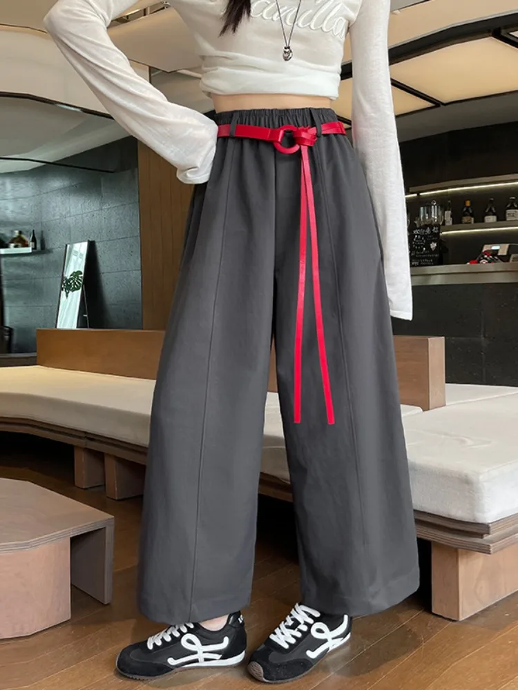 Spodnie damskie z wysokim stanem i szerokimi nogawkami, jesienno-zimowe, luźne, proste, codzienne, koreańskie, do pracy, jednolite, modne.
