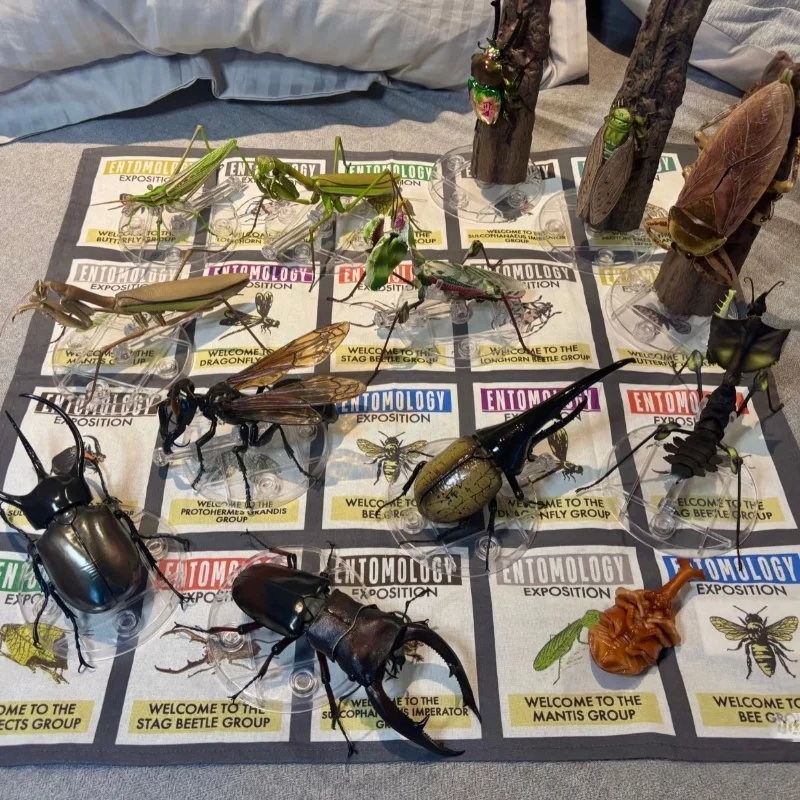 Bandai Chalcosoma Atlas Caucasus Beetle Movable Model Hyper-Realistic Insect Ornament Toy for Collectors Authentic Action Figure