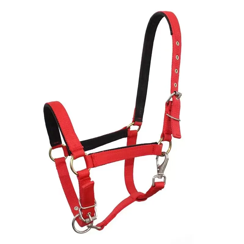 Proteção acolchoada cavalo Halter, ajustável Chin e garganta Snap, equipamento de equitação, vários tamanhos, corda durável