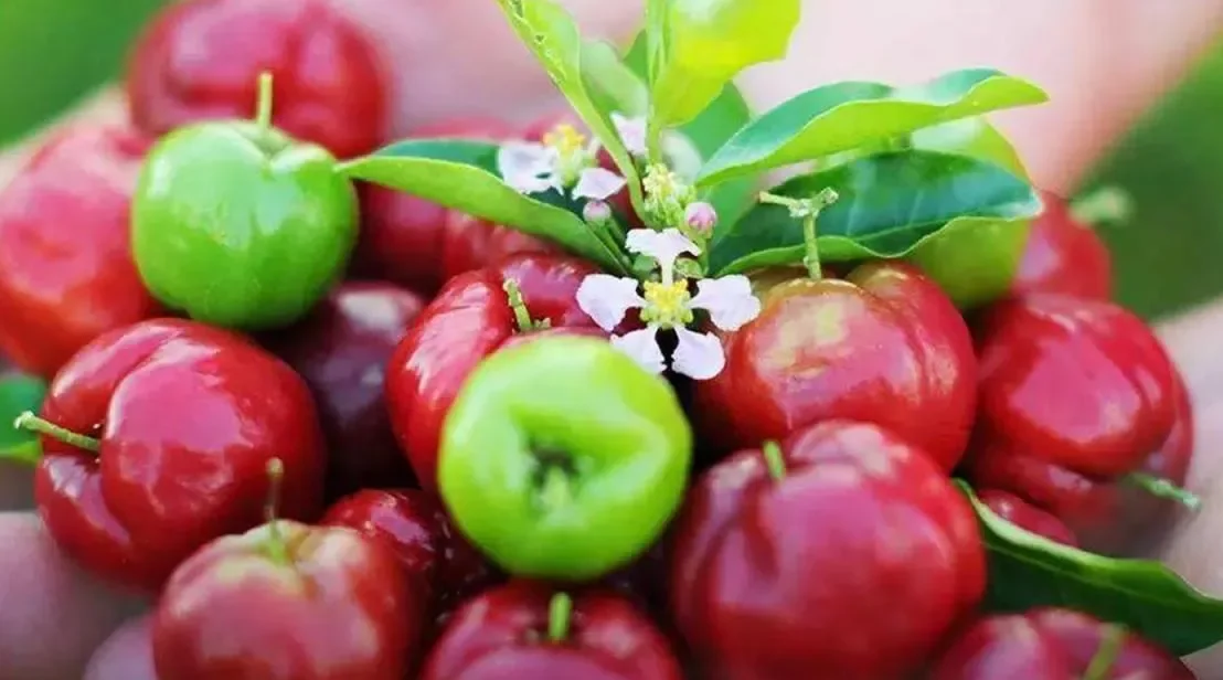 

Двигатель FPV BAYCKRC серии A 2207 — 2085KV/1950KV, 5 дюймов, 3–6S для радиоуправляемого квадрокоптера Freestyle и Racing