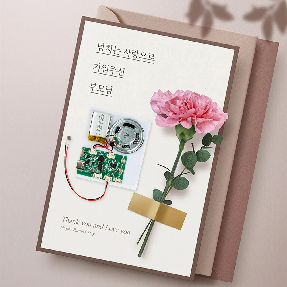 8M DIY Recording Playback Module Recordable Birthday Card Music Voice Module Chip for DIY Voice Audio toy Greeting Card