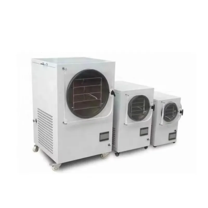Automatic PLC Home Food Commercial Freeze Dryer with Pump and Motor SUS304 Material High Efficiency Customized Customized