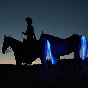 Paardenstaart Trappings Paardensport LED Knipperlichtbalk Harnas Apparatuur Buitensporten USB Charge Nachtrijden Veilige decoraties