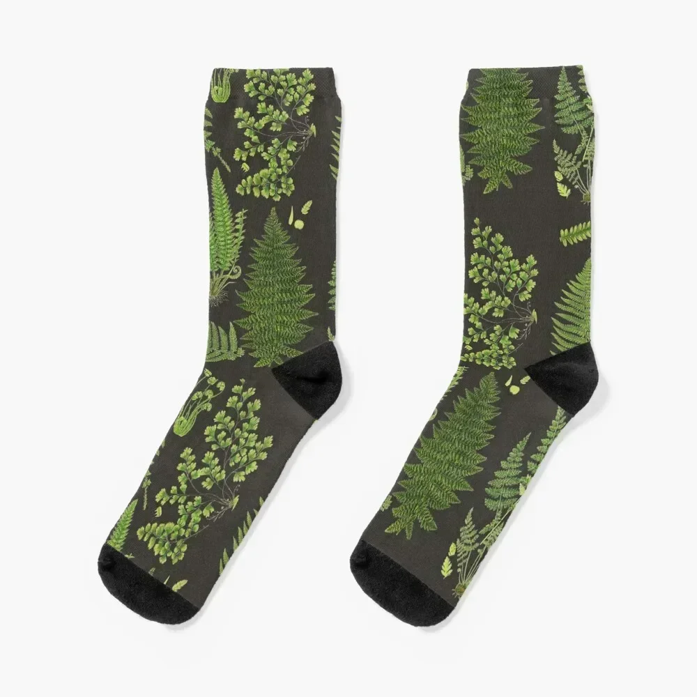 Fern Chart study Socks winter thermal Antiskid soccer Man Socks Women's