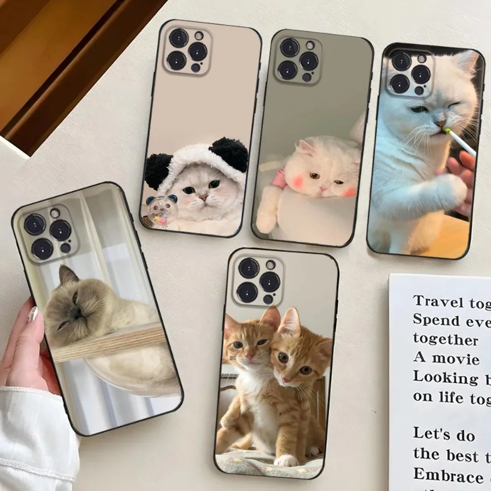 cat cute funny Phone Case For iPhone 16,15,14,13,12,11,Pro,X,XS,Max,XR,Plus,Mini Black Silicone Soft case