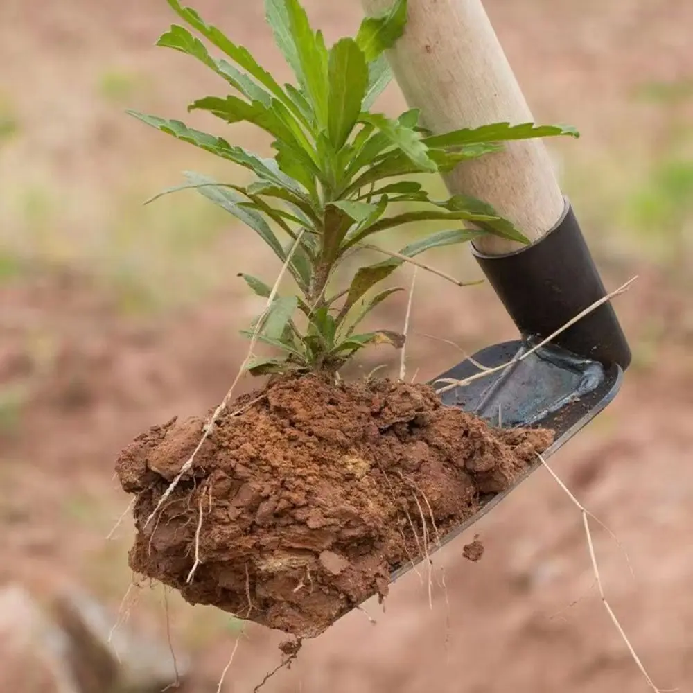 

Gardening Tools Manganese Steel Garden Hoe Manual Anti-Rust Weeding Hoe Durable Agricultural Rakes Digging Soil