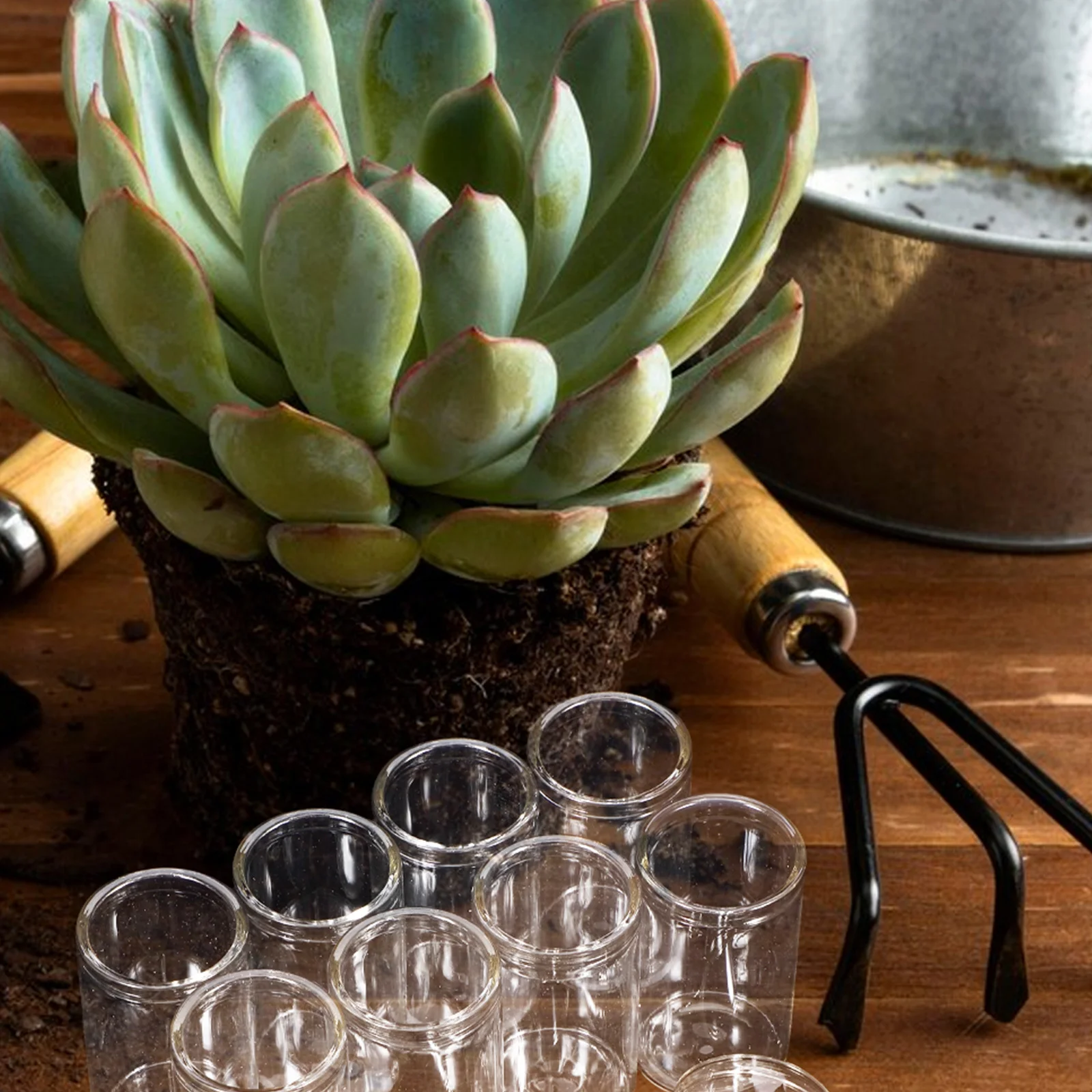 

10Pcs Mini Succulent Glass Vases Test Tube Flower Containers Hydroponic Micro Landscape Terrarium for Small Spaces