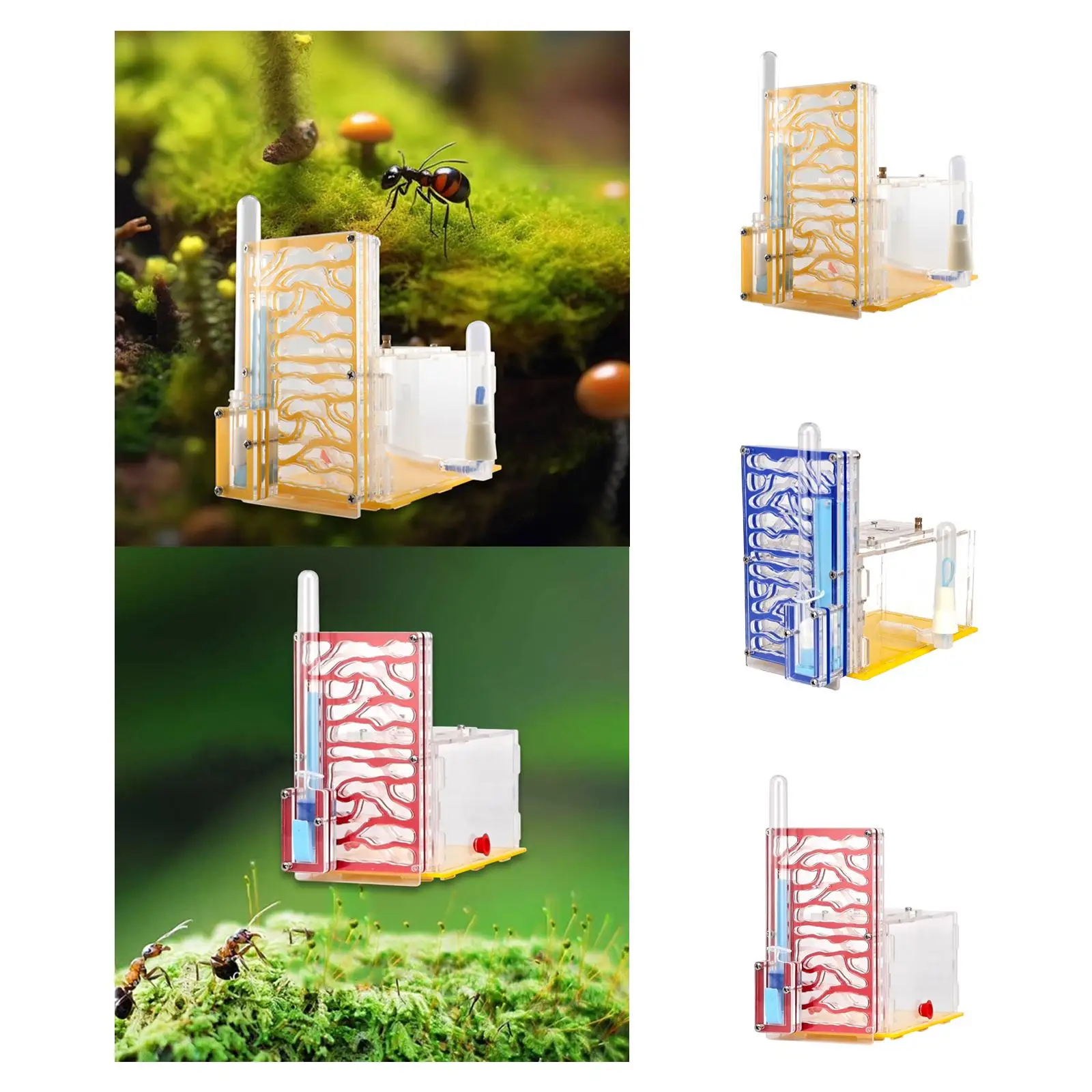 ANT Housing Nest Display Box Learning with Feeder DIY ANT Farm for Gift Science