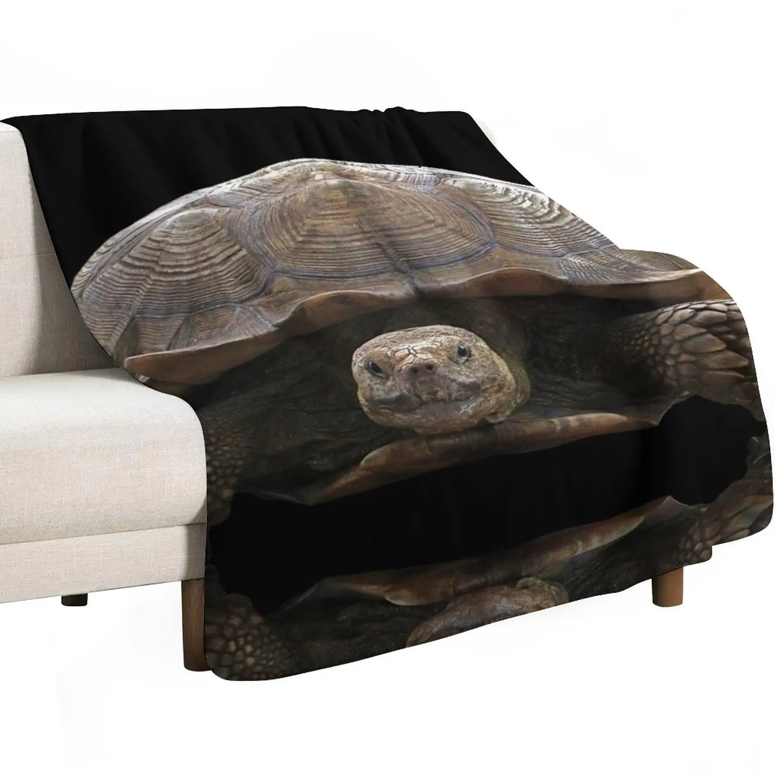 Sulcata Tortoise with Reflection Throw Blanket Comforter Luxury Thicken halloween heavy to sleep Thins Blankets