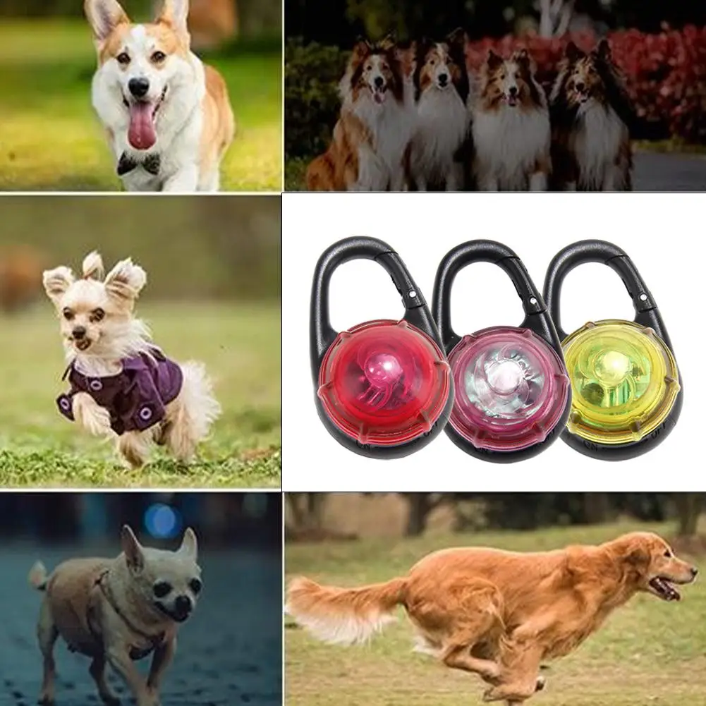 الحيوانات الأليفة مضيئة قلادة إضاءة مقاومة للماء طوق بكلاب الحيوانات الأليفة مضيئة معلقة الديكور في الهواء الطلق تحذير مضيئة قلادة هدية عيد الميلاد #5
