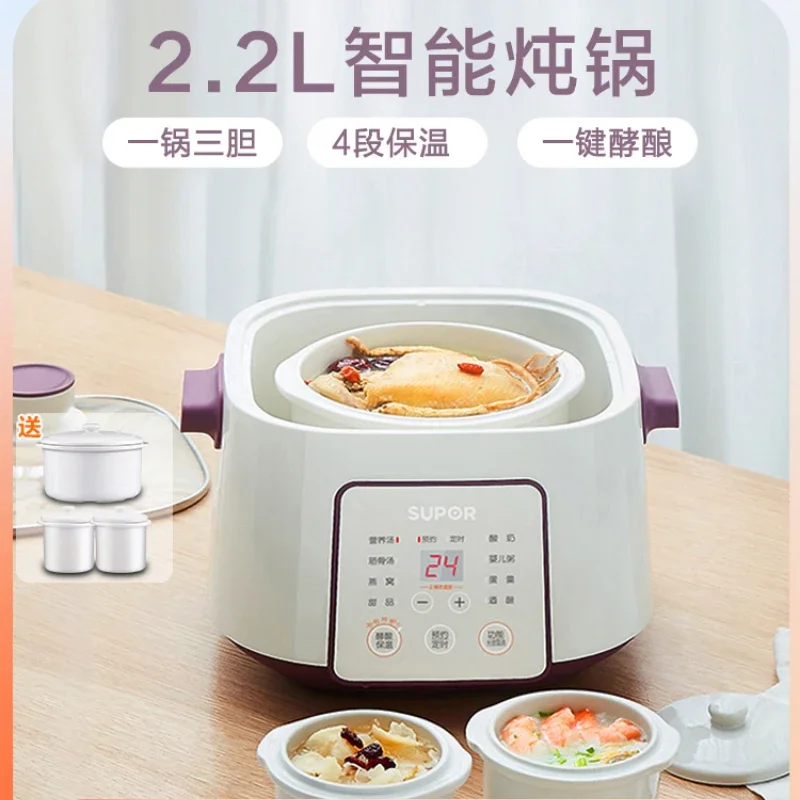 220V Electric Stewpot with Ceramic Water Separation Stewpot, Perfect for Soup and Congee Cooking