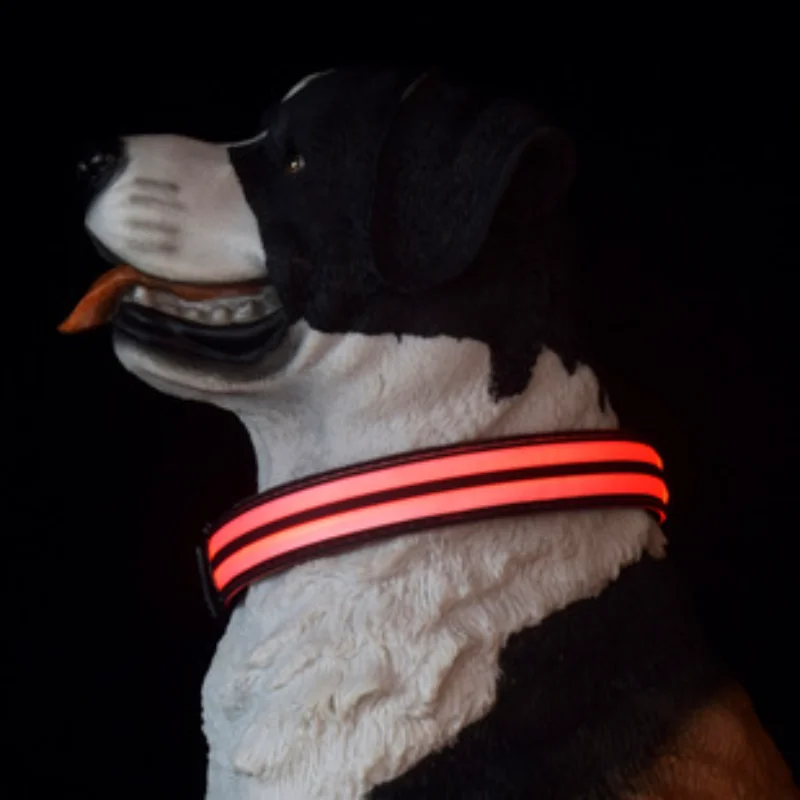 Collar luminoso para perros para caminar, suministros para mascotas, Collar de carga para perros, anillo para el cuello, bufanda colorida