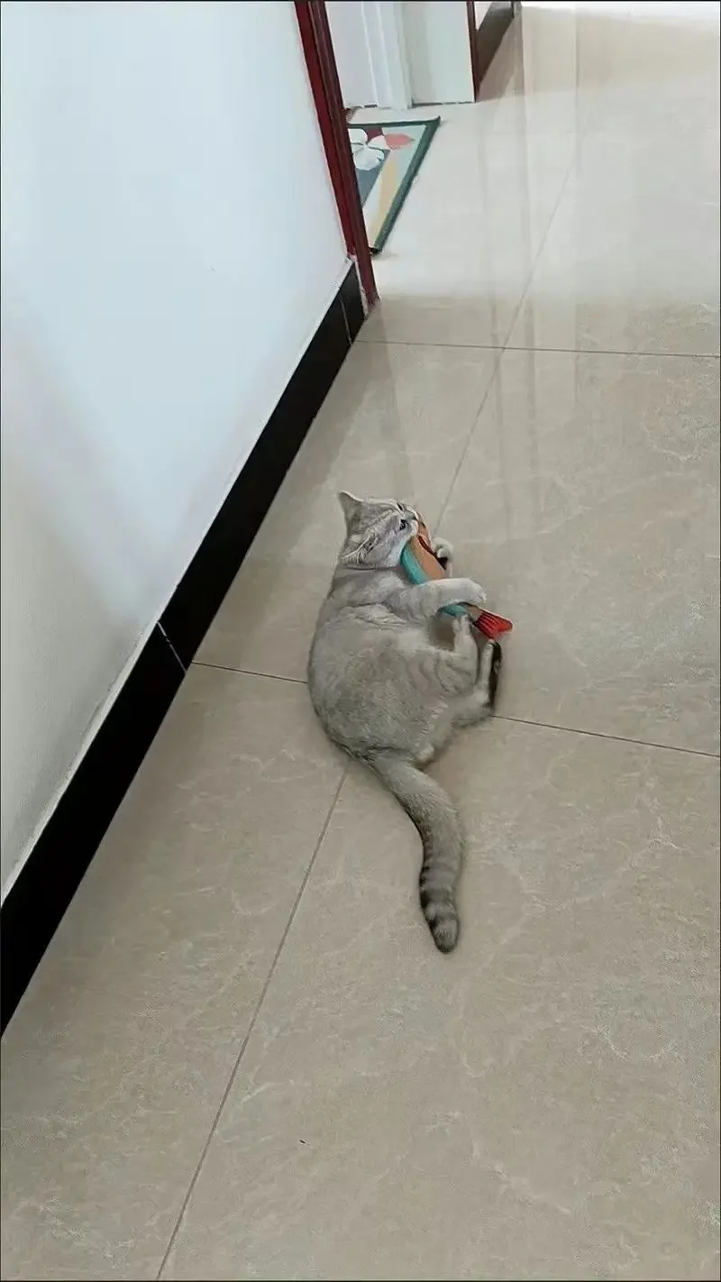 Neues Katzenspielzeug: Katzenminze-Fisch – Bissfester Zahnreinigungs-Katzenminze-Fisch für Online-Prominenz-Simulationsspaß und zum Necken von Katzen! – Detail 7