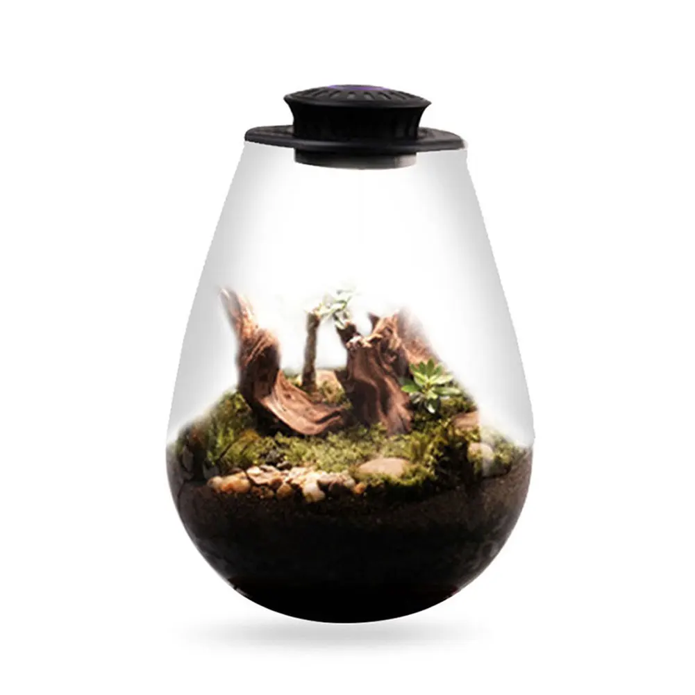 

Fern Moss Micro-Landscape Grow Light 6500K Настольный миниатюрный светильник для выращивания растений для миниатюрного садового пейзажа