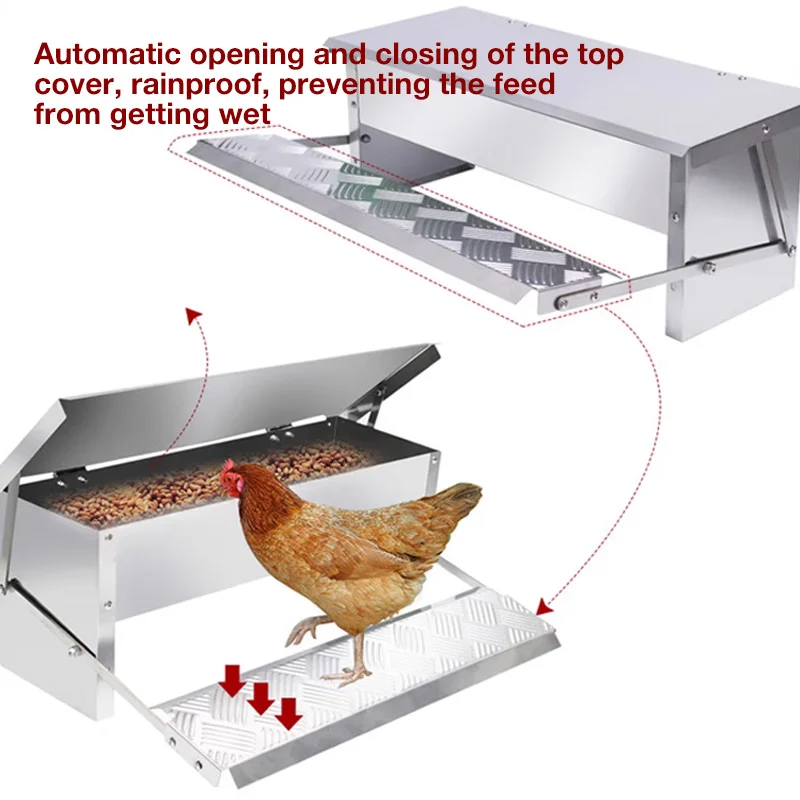 Automatic Chicken Feeder No Waste Treadle 11lb Stainless Steel Poultry Feeder with Weatherproof Lid for Chicken Pheasants Ducks