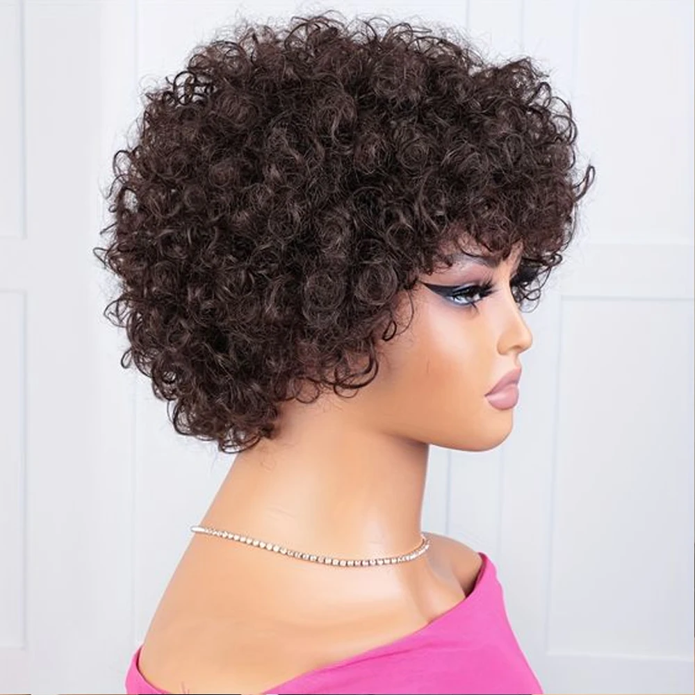 Krullend Pruik 100% Menselijk Haar Pruiken Voor Vrouwen Met Grote Bouncy Haar 6 Inch Afro Krullend Pruiken Pixie Cut Pruik Brazilian Remy Haar 180%