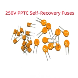 10Pcs Plug In Self Resettable Fuse Pptc Ruef 250V 100MA 200MA 0.3A 0.4A 0.5A 0.6A 0.8A 1A 1.2A 1.5A 2A PPTC Self-Recovery Fuses