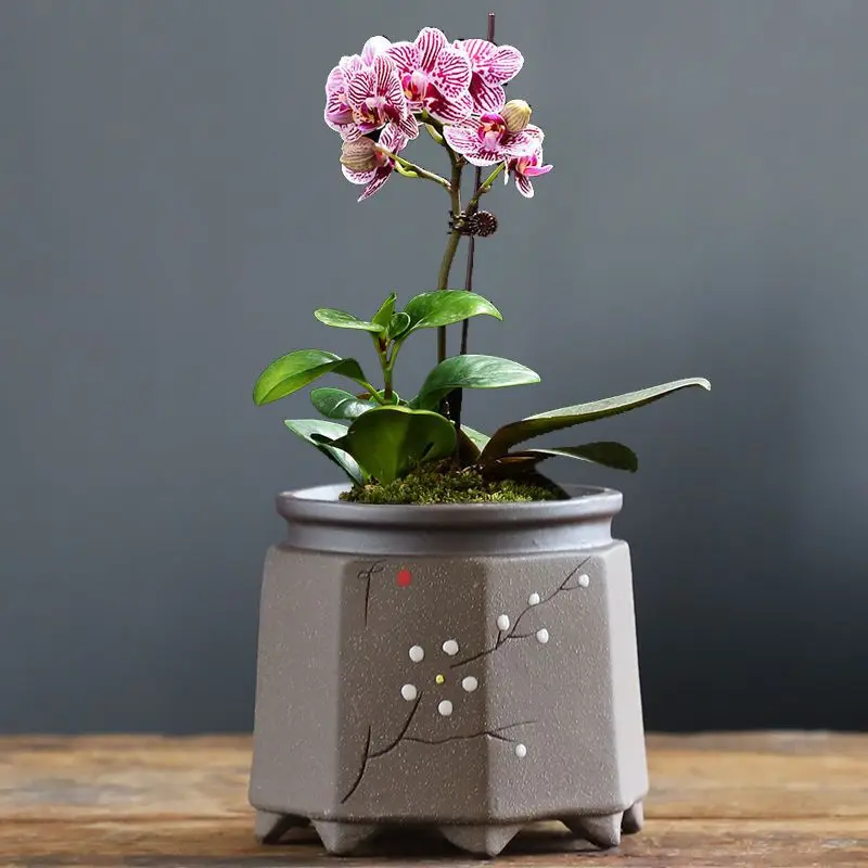 Chinese Flower Pot Purple Sand Breathable Flower Pot Household Orchid Flower Pot Creative Succulent Flower Pot Home Decor LF475