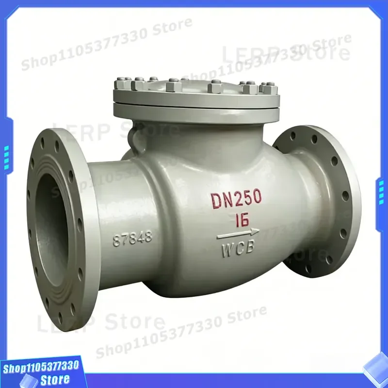 H44W-16 Flanged Swing Check Valve, DN250 Ductile Iron One-way Non-return Valve for Industrial Water Oil Pipeline System