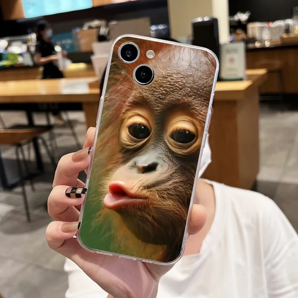 Monkey Sipping Capri Meme Phone Case For Iphone 15 11 13 14 Pro Max 7 8 Plus X Xr Xs Max 16pro 12mini Transparent Cover