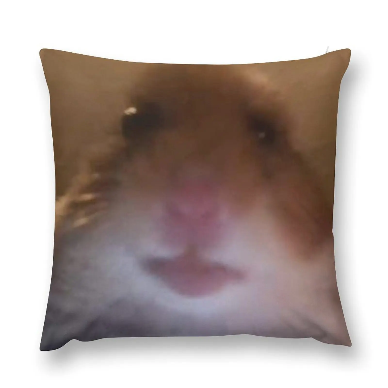 Staring Hamster meme Throw Pillow Decorative Cushions For Living Room pillow cover luxury pillow