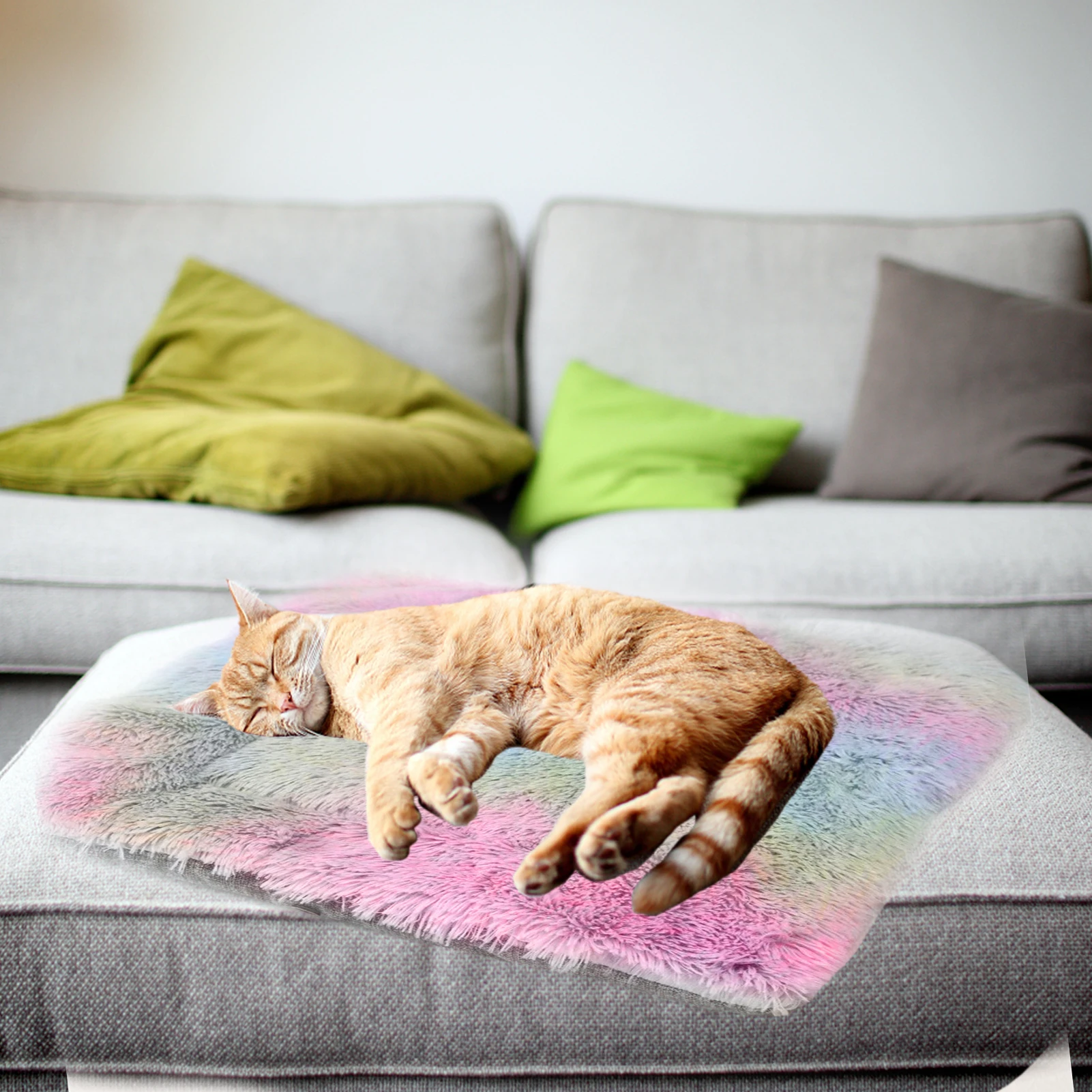 Bett für Katzen, Heimtierprodukte, Kissen, Kätzchenwaren, Zubehör, Hund, alle Häuser, Zubehör, Dinge, Zubehör, Lebensräume, Korb, Hausbetten