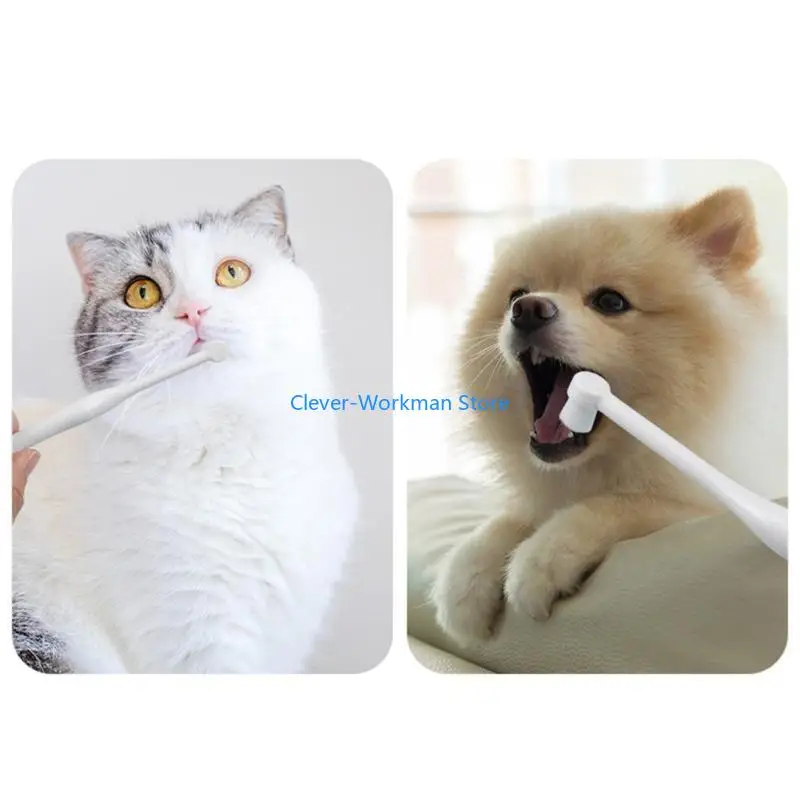 

24TD Pet Toothbrush- Dogs Toothbrush- Cats Toothbrush- Dogs Teeth Cleaning PuppyToothbrush Dogs Hygienes Dogs Care