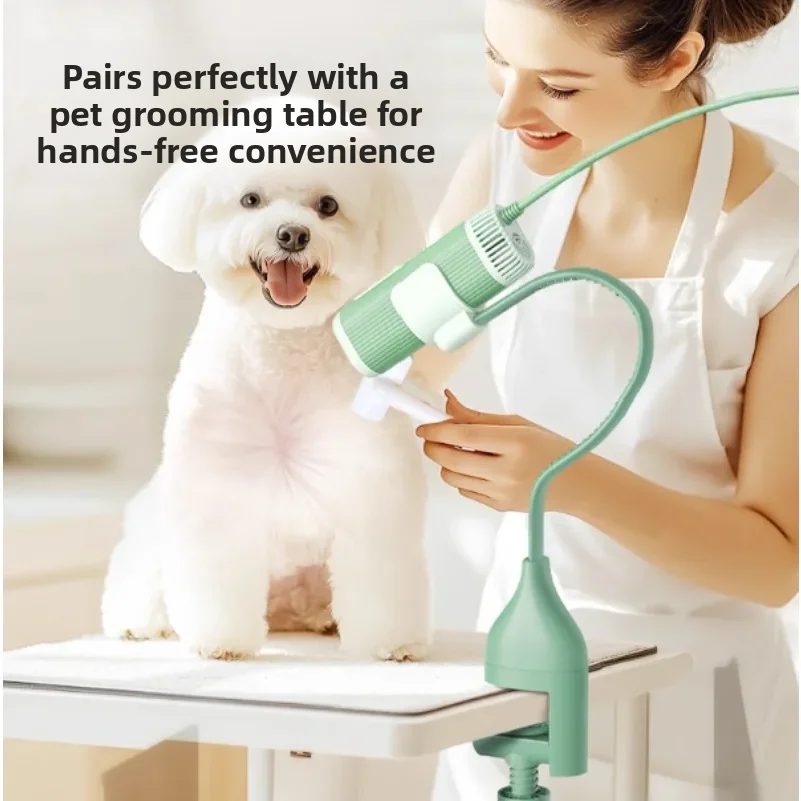 Custom High Power Adjustable Pet Hair Dryer Hair Blowing Artifact Water Blower for Dogs and Cats dog hair dryer pet items