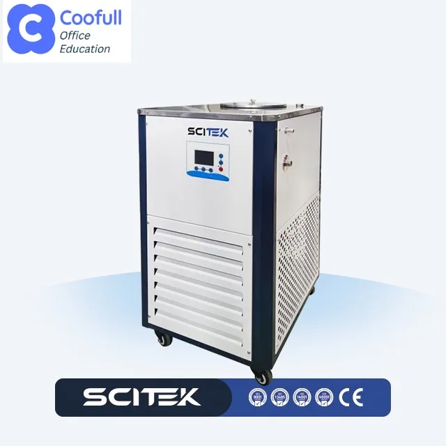 Low-Temperature Cooling Liquid Circulator with R22/ R404/ R404 Refrigerant PT100 Temperature Sensor