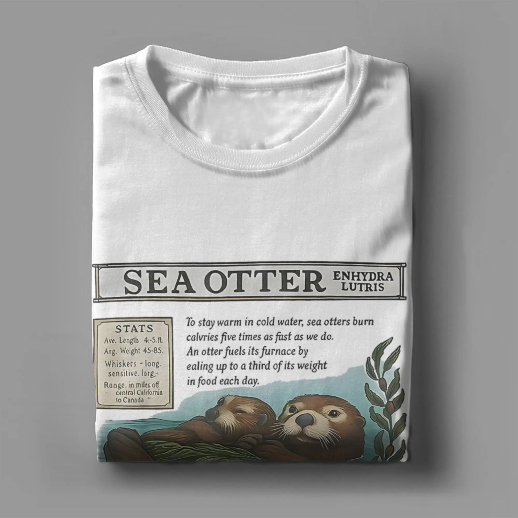 خمر البحر قضاعة مونتيري كاليفورنيا 90's حوض السمك عاشق تي شيرت الرجال 100% القطن تيز قصيرة الأكمام تي شيرت ملابس كبيرة الحجم