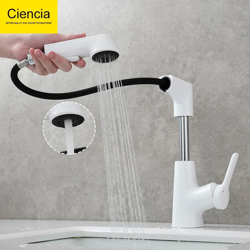 Ciencia Brass Liftable Sink Faucet Bathroom Pull Out Faucet Hot and Cold Tap Height Liftable 80mm Deck Mount Fuacet