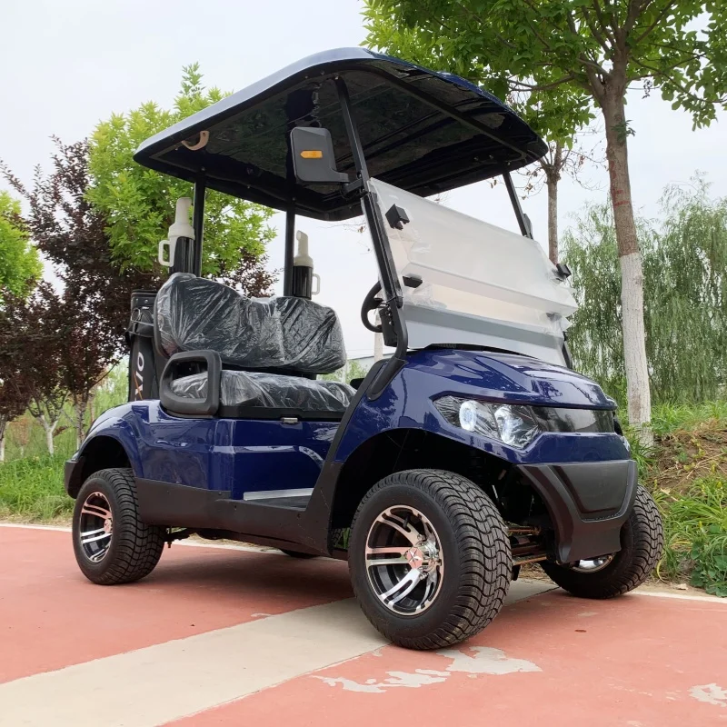 Solar Golf Carts CE Certificate Lithium Battery 2 Seats Electric Golf Cart 12 Inch Tires Golf Bag Rack And Basket Sand Bucket X2