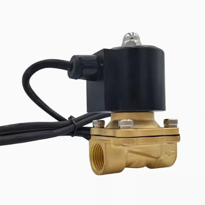 2W Underwater Fountain Normally Closed Waterproof Electromagnetic Valve Water Valve Buried 220VOn/Off Valve 24V All Copper Valve