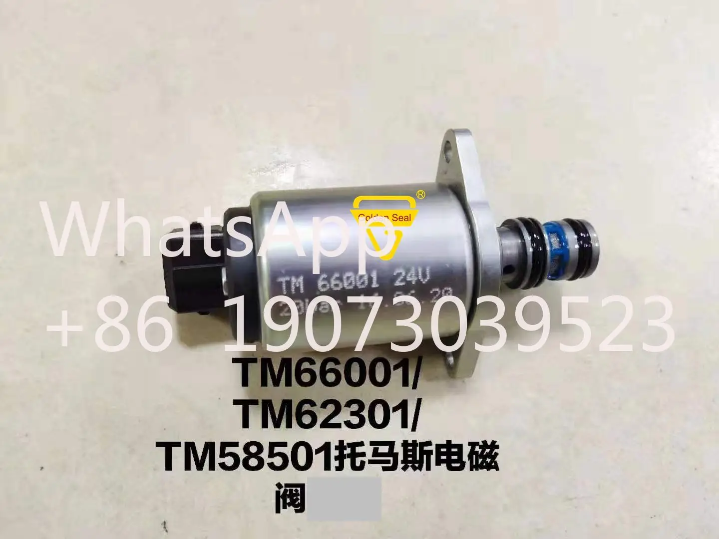 TM62301 TM58501 TM66001 Solenoid valve diesel engine solenoid valve for excavato