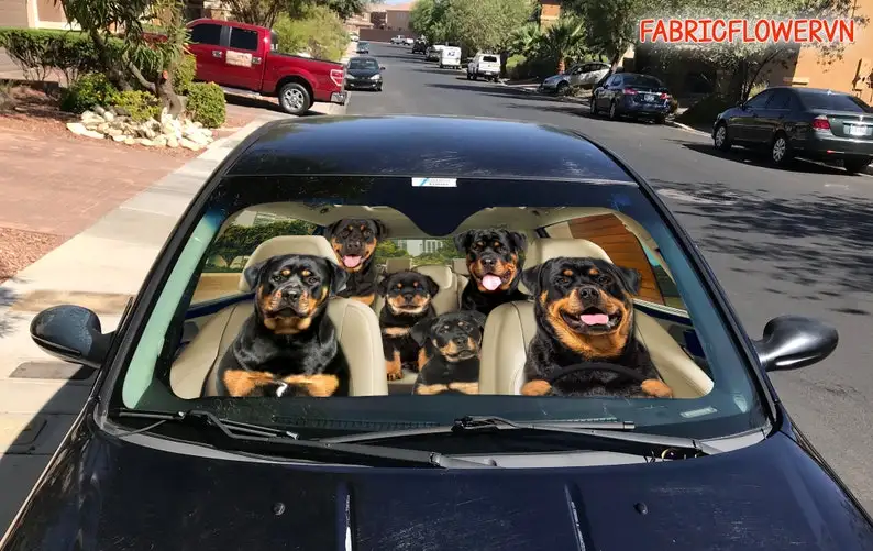 Rottweiler Car Sunshade, Rottweiler Car Decoration, Rottweiler Windshield, Dog Lovers Gift, Dog Car Sunshade, Gift For Mom, Gift