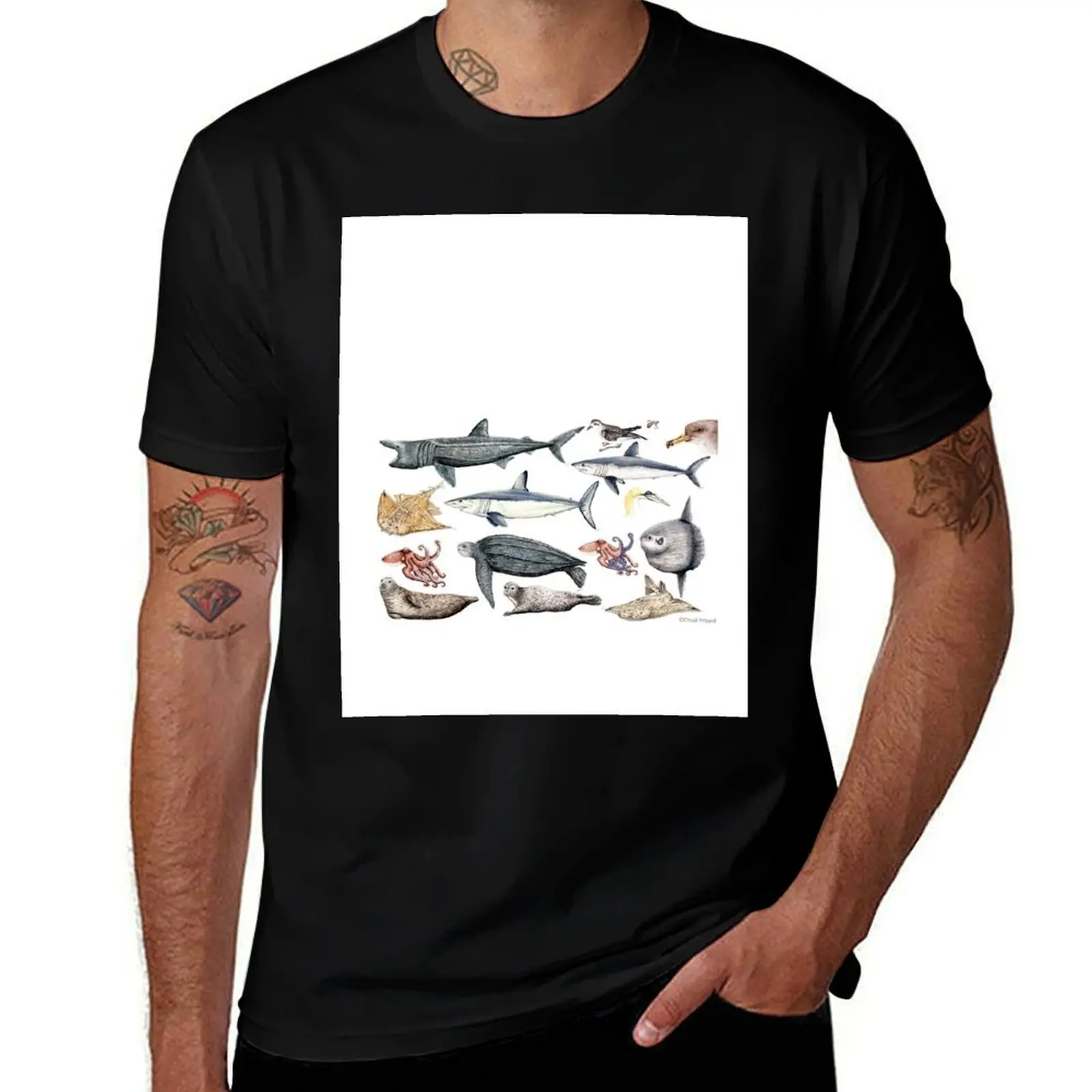 

Marine wildlife T-Shirt cotton t shirt pack man t shirts graphic
