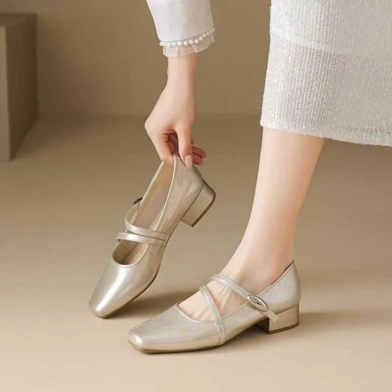 2025 ربيع/خريف جديد النمط الفرنسي الضحلة قطع ماري جينس-مشبك معدني كعب مكتنز مضخات ، فستان الجنية الأساسية مطابقة الأحذية #1