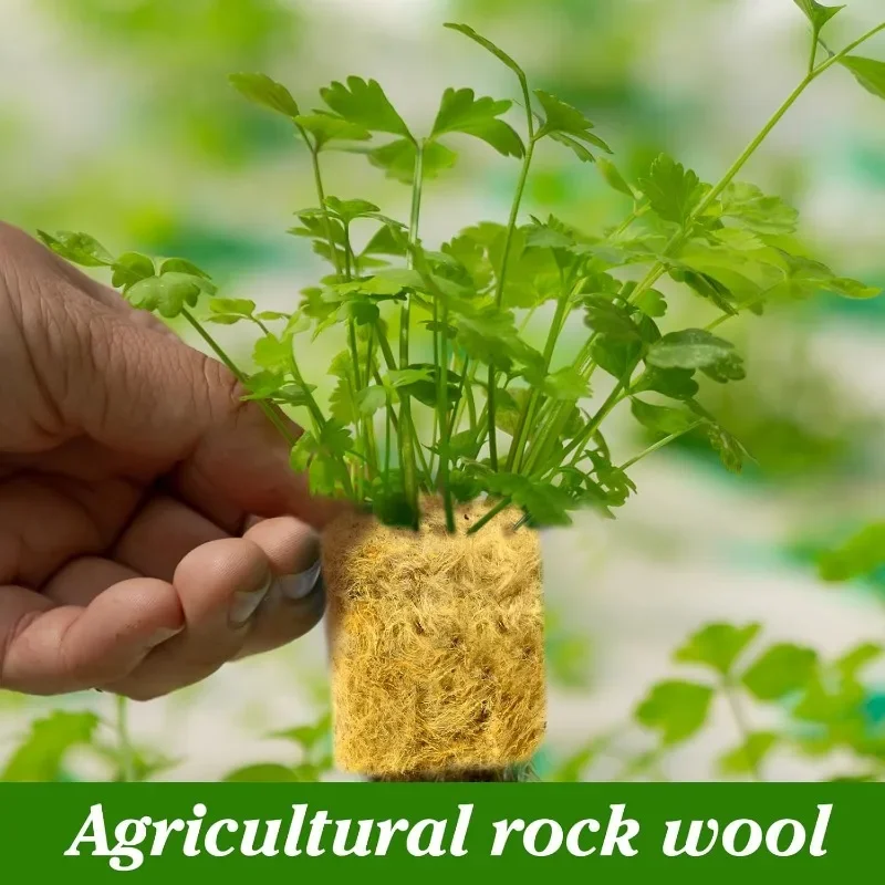 600/50PCS Planting Sponge Rock Wool Starter Plugs Hydroponic Grow Media Cubes Home Greenhouse Garden Accessories Seedling Block