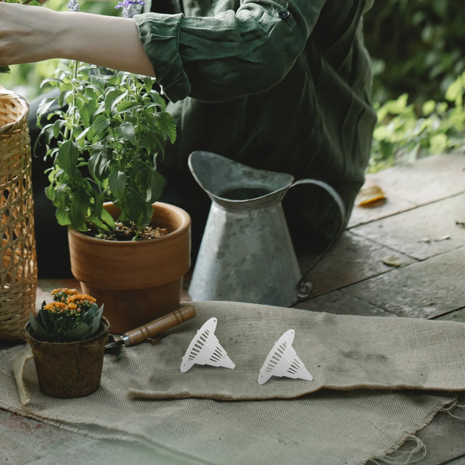 50 Pezzi di Rete per Fori di V - Bonsai Gardening recensione e prezzo
