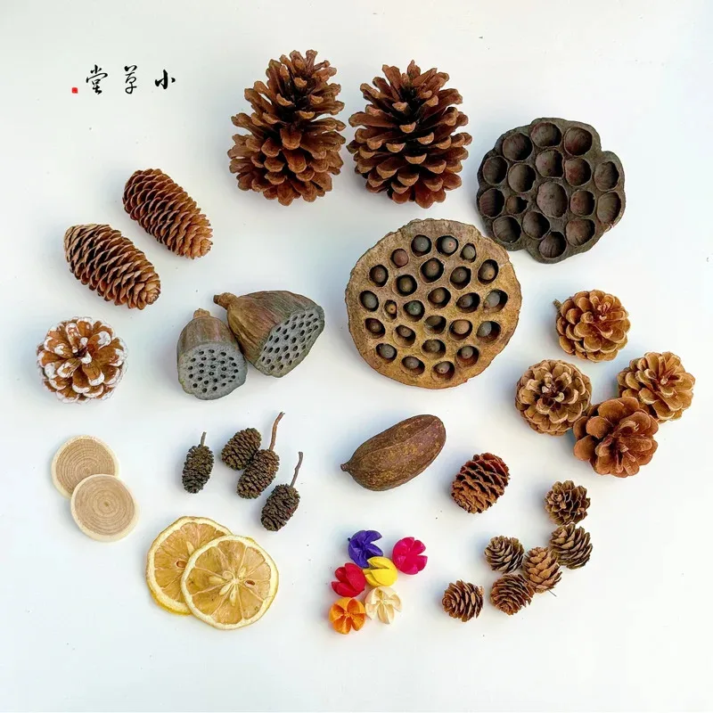 Dried Flowers Fruits & Pinecones Small Pet Supplies Decor - Natural Handmade Ornaments for Hamster Rabbit Cage, Home Decoration