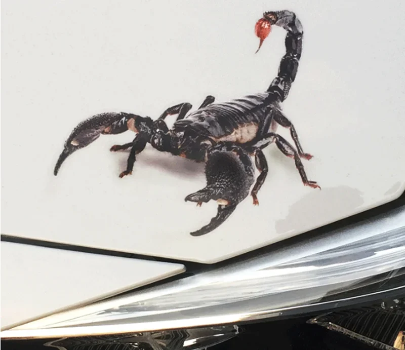 3D Car Sticker Animals Bumper Spider Gecko Scorpions For Volkswagen Golf 5 6 7 PASSAT B5 B6 B7 B8 MK4 MK5 MK6 Tiguan Polo