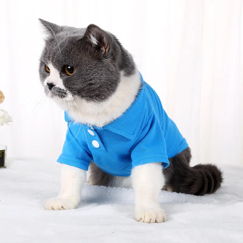 Pet short sleeve T-shirt