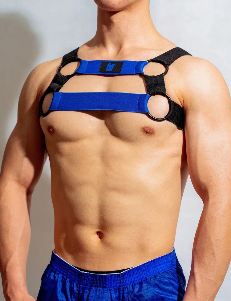 Blue Lingerie Man Sexual Body Chest Harness Belt Strap Punk Rave Costumes Harness Men Gay Clothing  Party