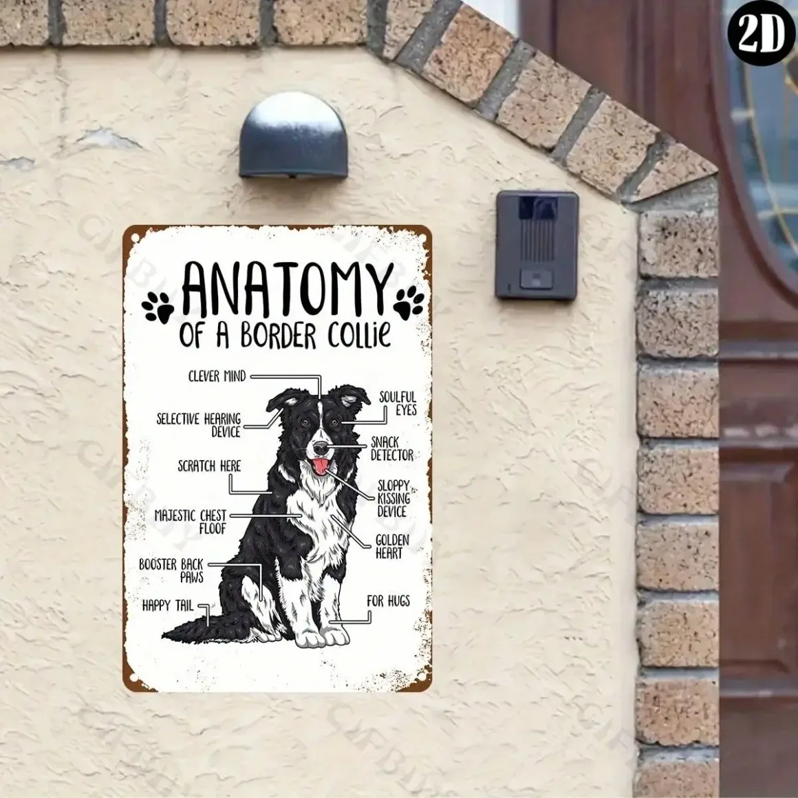 Cartel de pared de anatomía Border Collie, arte de Metal de aluminio para decoración del hogar, regalo de inauguración de la casa de Navidad y Halloween