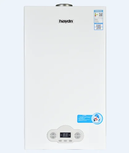 

Heavy-Duty Gas Boiler, Anti-Corrosion & Leak-Proof, Low Failure, Long Service Life 24KW