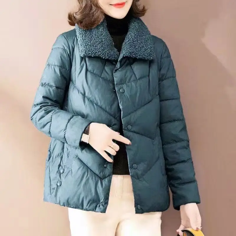 Autumn Winter New Fashion Long Sleeve Turn-down Collar Solid Down Parkas Women's Clothing Korean Button Warm All-match Chic Tops