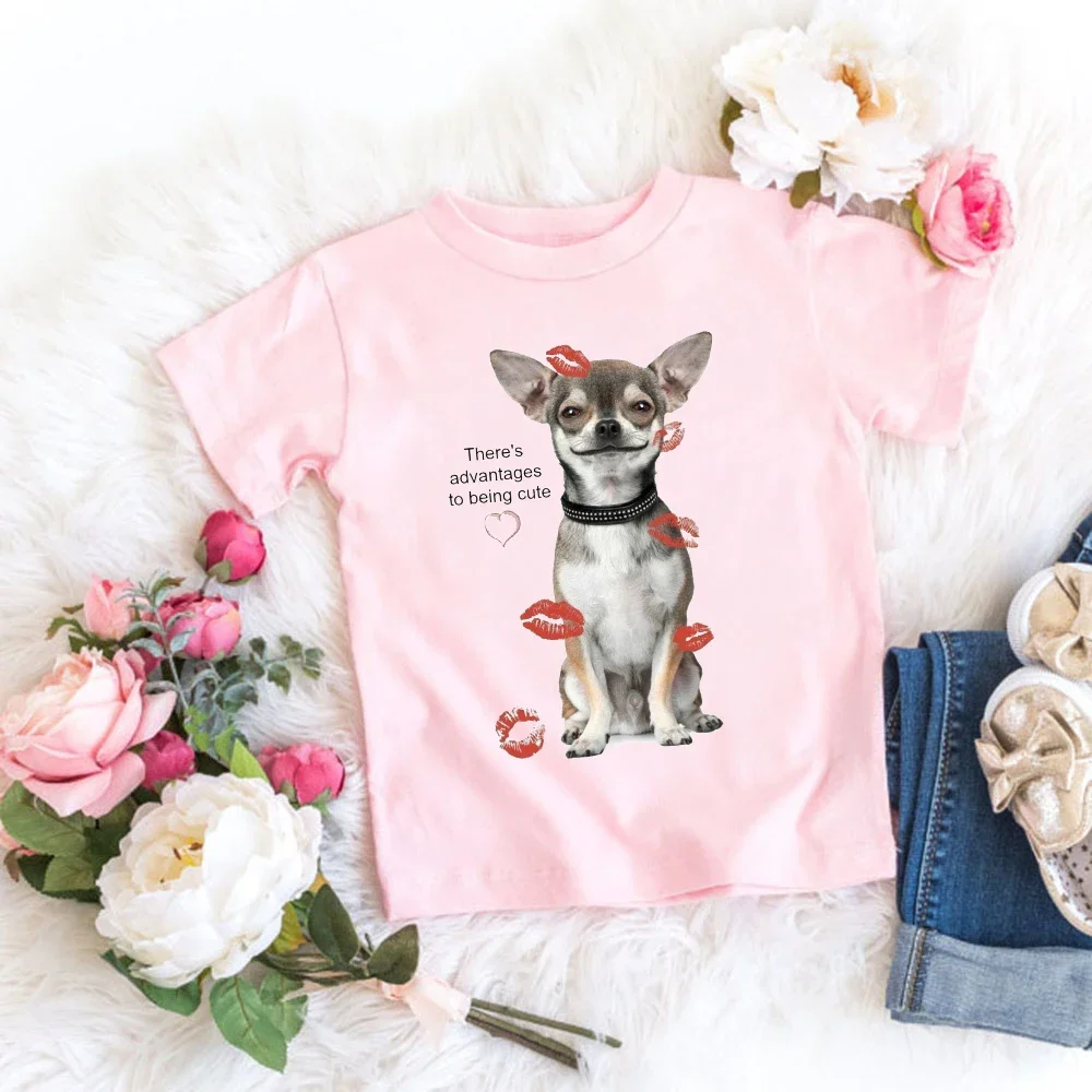 Chihuahua Dog Kids T-Shirt  Summer Children's Cartoon Dog Chihuahua Printed Children's T-shirt Hello Kitty Clothes Tops Tee