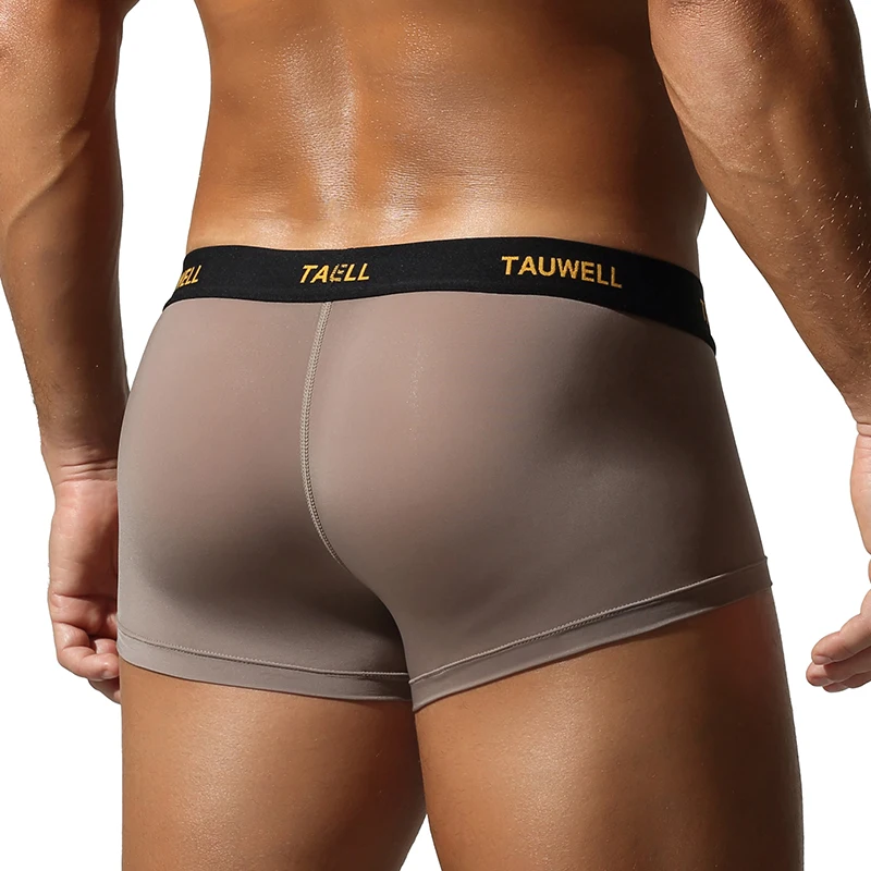 Men's Flat Underwear, Ice Silk High Elasticity Close Fitting Low Waist Fashionable Solid Color Hollow Thin Breathable Mesh Style image 6